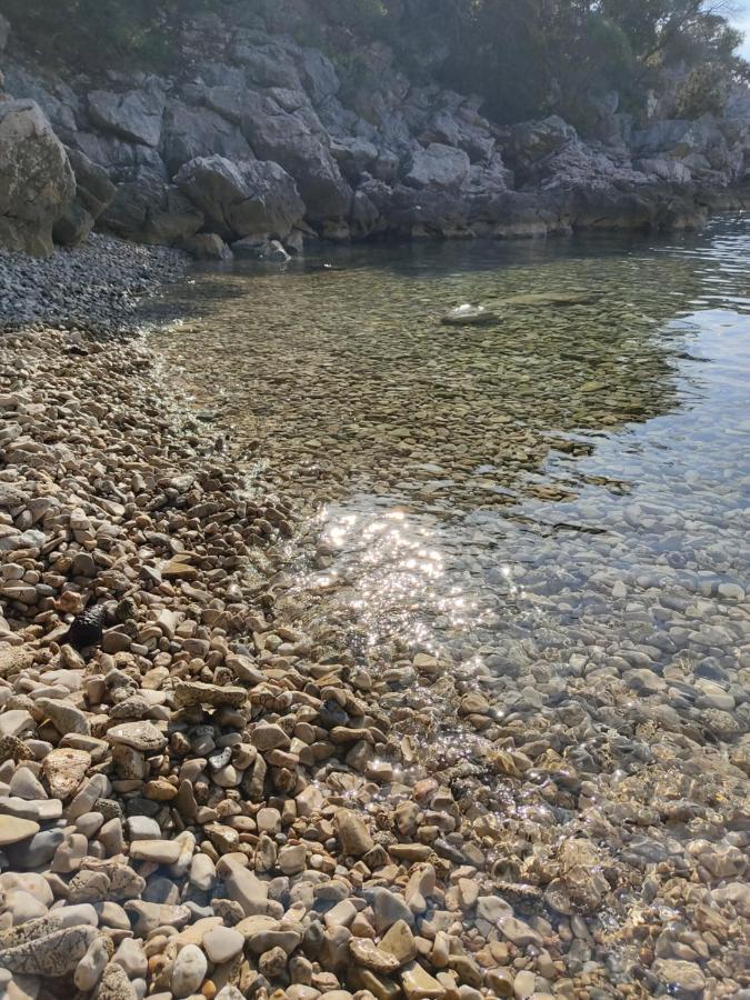 House Tuna Ustrine Dış mekan fotoğraf