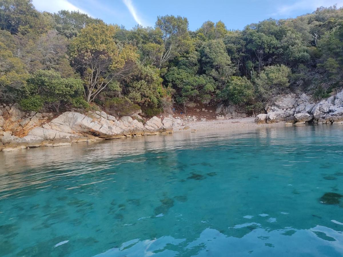 House Tuna Ustrine Dış mekan fotoğraf